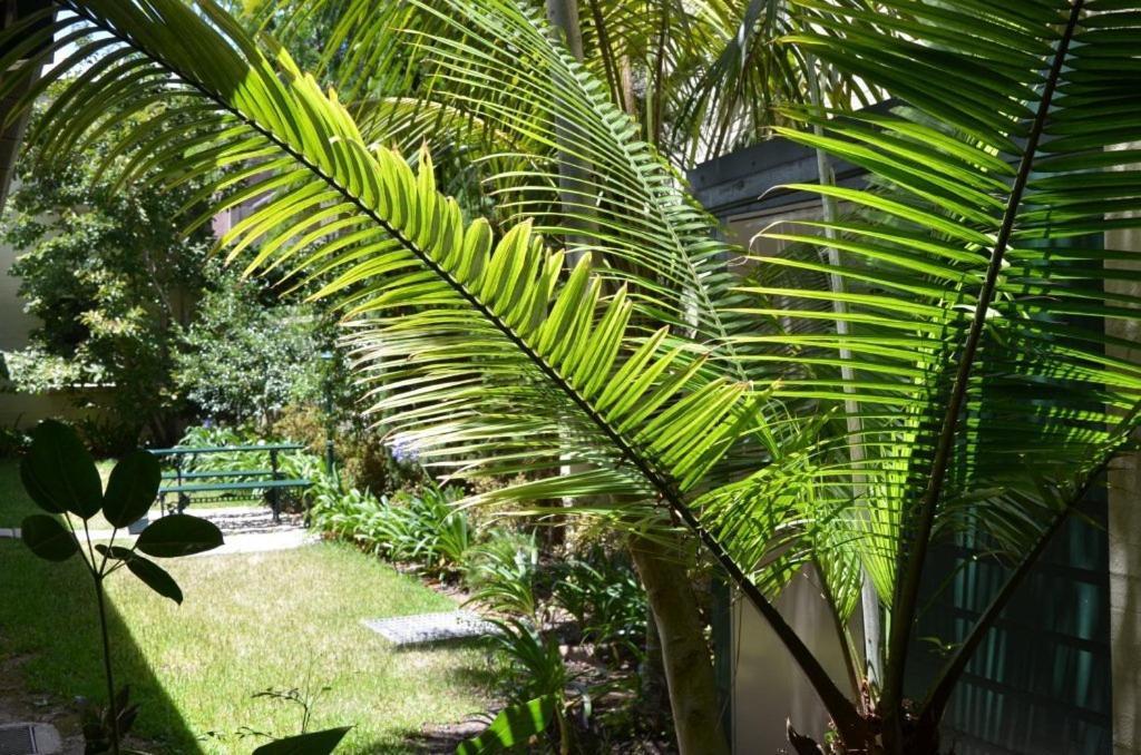 Avonmore On The Park Boutique Hotel Randwick Bagian luar foto