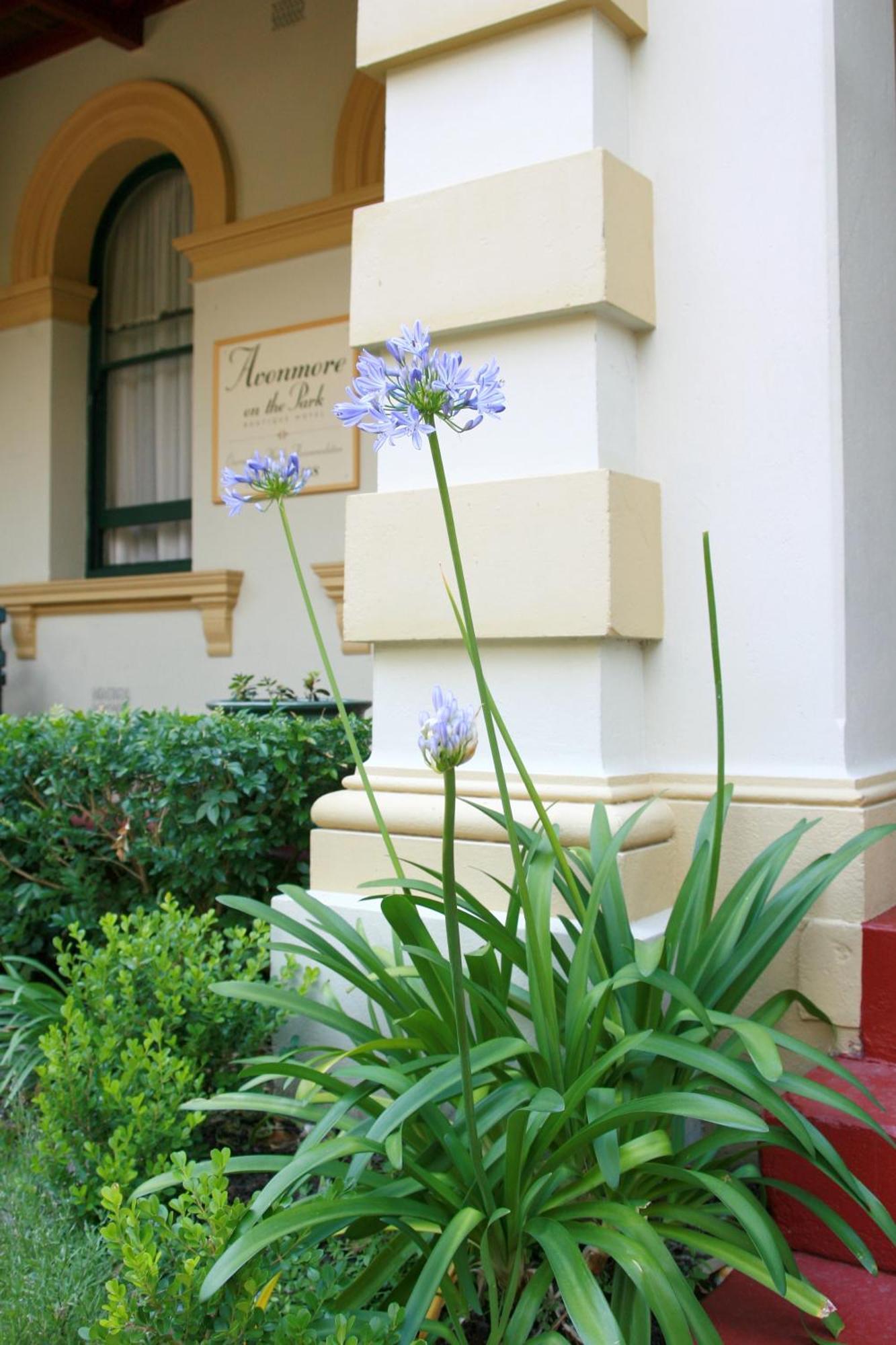 Avonmore On The Park Boutique Hotel Randwick Bagian luar foto